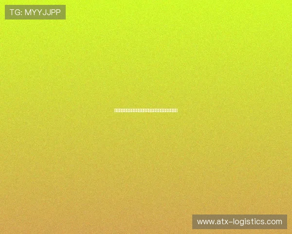 专业看球体育直播解析世界杯比赛战术与明星球员表现分析 专业看球体育直播解析世界杯比赛战术与明星球员表现分析